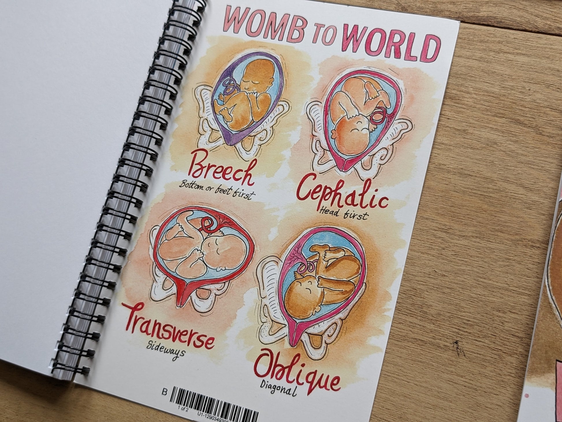 Baby Bits Doula Notebook