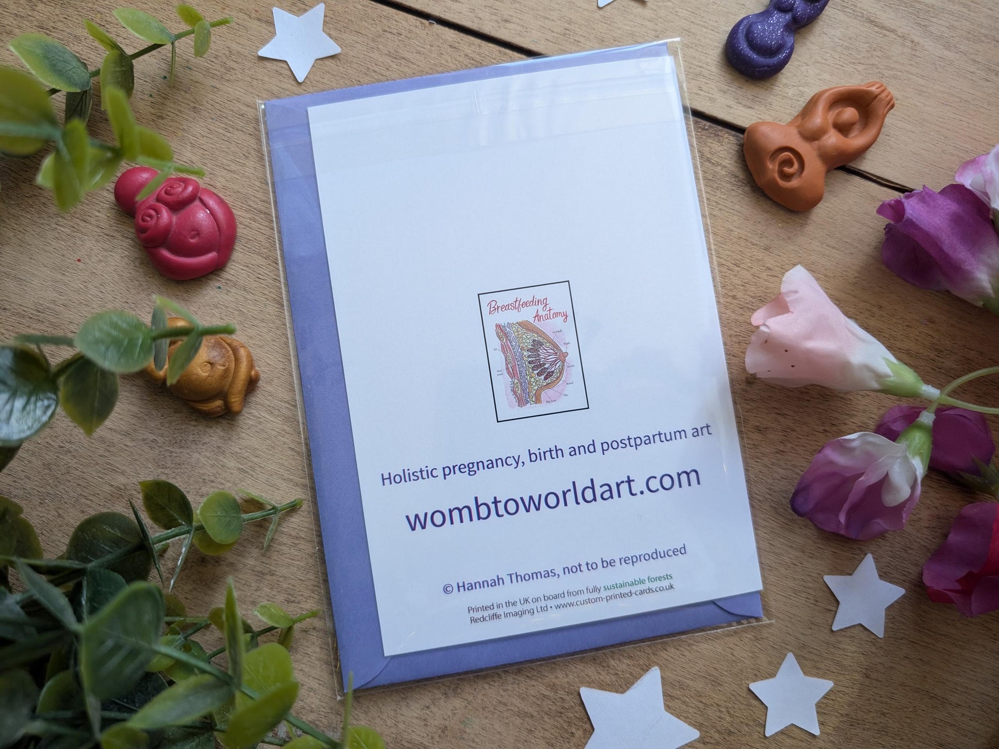 Breastfeeding Anatomy Card: Lactation Consultant Gift