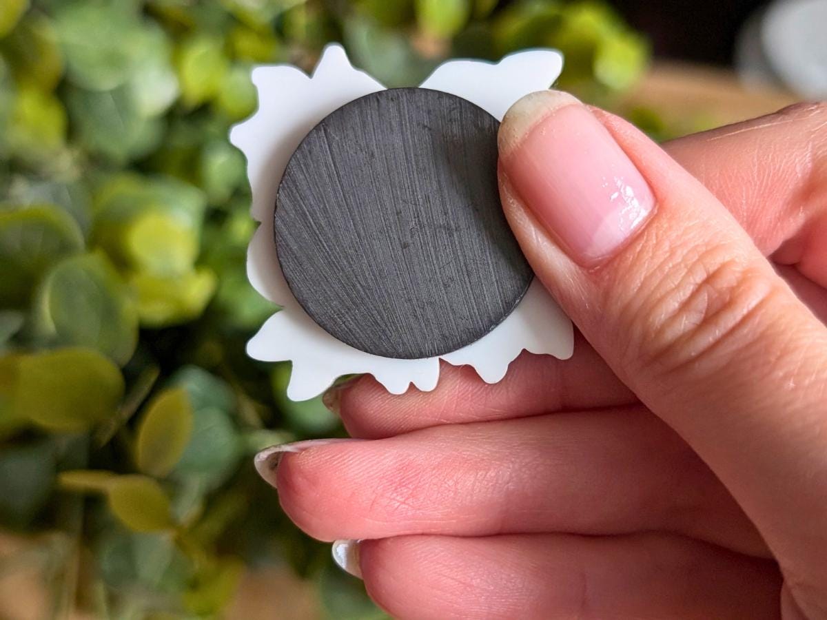 Pelvis Magnet