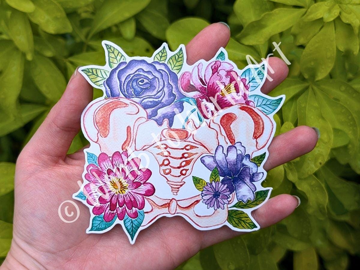 Pelvis Anatomy Art Sticker 10cm Vinyl | Chiropractor Gift | Midwife Thank You | Womb Healing | Women's Health | Pelvic Anatomy Doula Art
