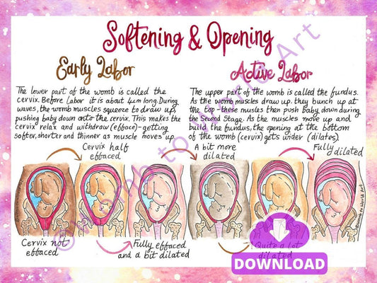 Hypnobirthing Cervical Dilation Handout: Labour Education Diagrams for Doulas and Antenatal (PDF Download)