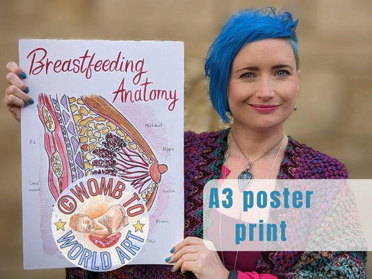 Breastfeeding Anatomy A3 250gsm Poster Print