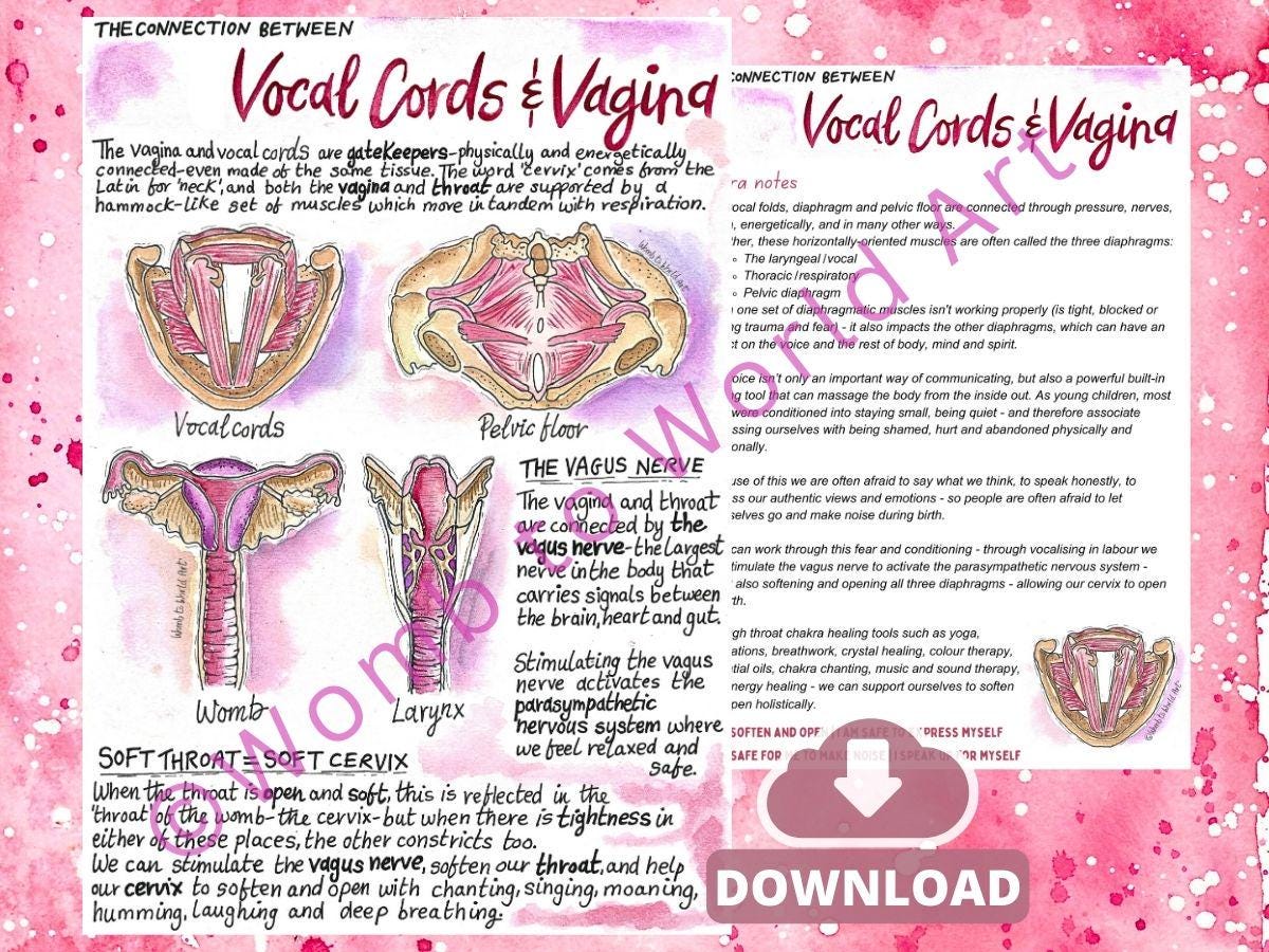 Vagina Vocal Cord Connection Diagrams: Antenatal Birth Education Handouts for Doulas and Hypnobirthing (PDF)