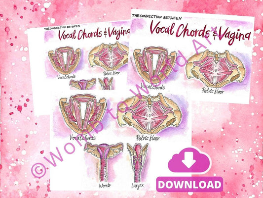 Vocal Chords & Vagina Connection Illustration: Antenatal Education Teaching Tools for Doulas (PDF Download)