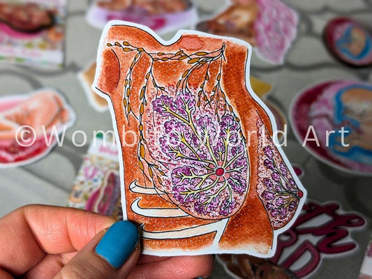 IBCLC Day Breast Anatomy Sticker 8cm