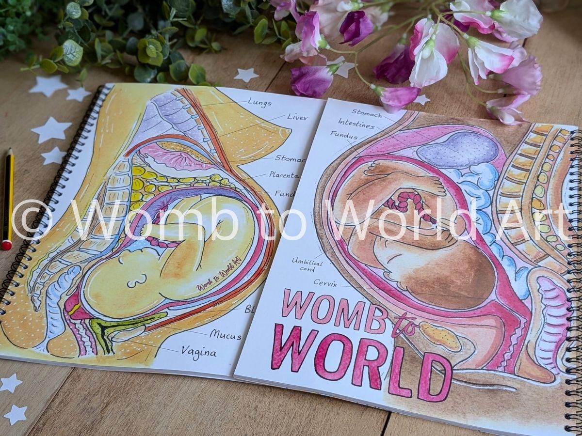 Pregnancy Anatomy Student Midwife Notebook