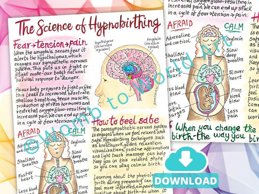 Science of Hypnobirthing Handout: Birth Education Printouts for Doulas and Antenatal Education (PDF Printout)