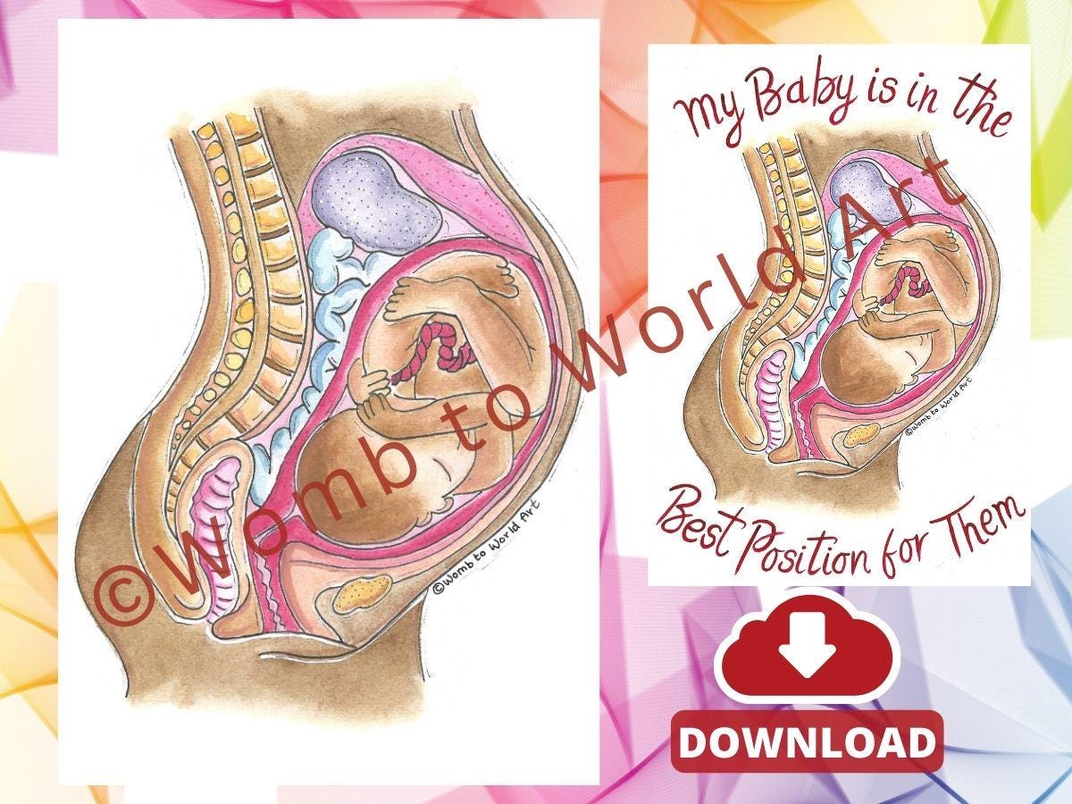 Hypnobirthing Baby's Ideal Position Illustration: LOA Antenatal Tool (PDF Download)