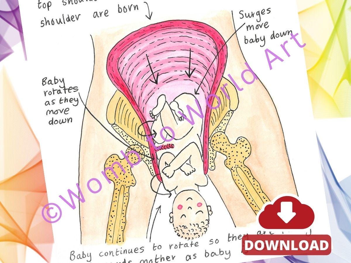 Cardinal Movements of Labour Illustrations: Doula Birth Teaching Tools (PDF Digital Download)