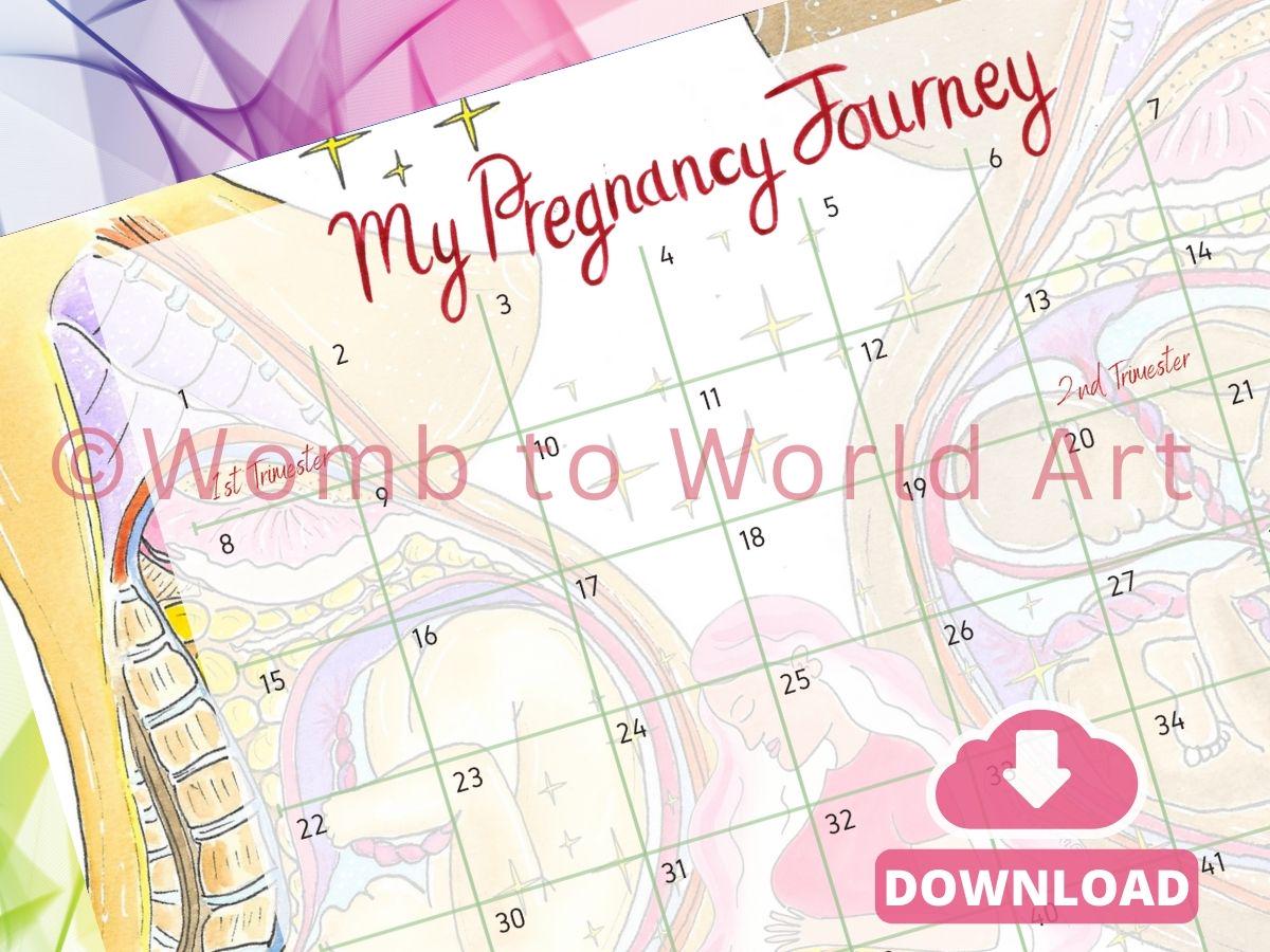 42 Weeks Pregnancy Countdown Calendar A3 PDF Download: Antenatal Education, Doula Tool (PDF Download)