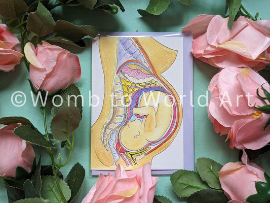 Pregnancy Anatomy Midwife Card