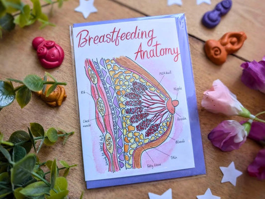 Breastfeeding Anatomy Card: Lactation Consultant Gift
