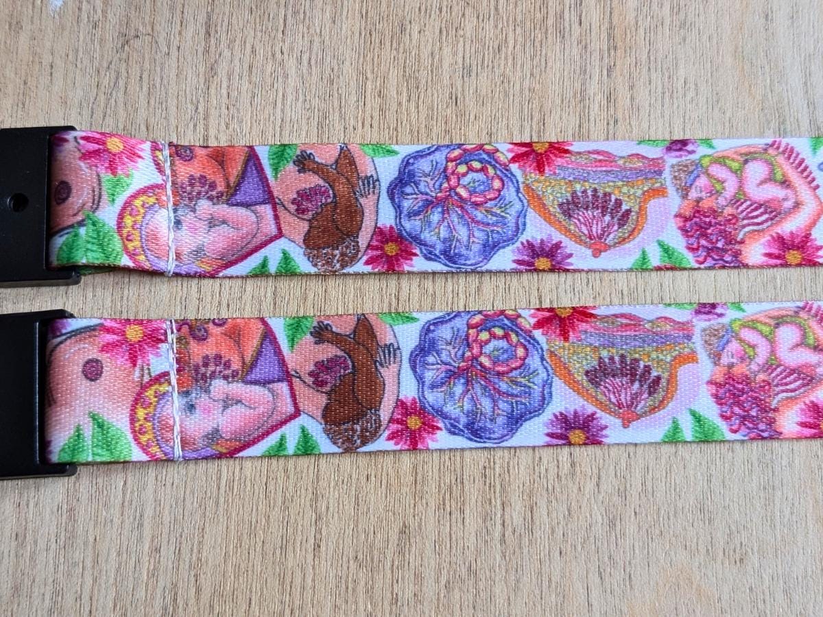 IBCLC Lanyard: Breastfeeding Art ID Card Holder, Lactation Consultant Gift