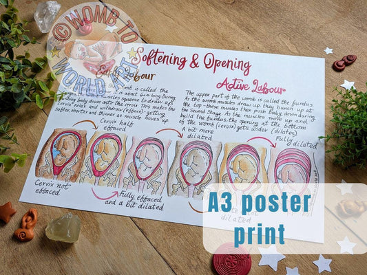 Hypnobirthing A3 Poster Teaching Tool | Soften and Open | Antenatal Education | Doula | Pregnancy Gift | Birthkeeper