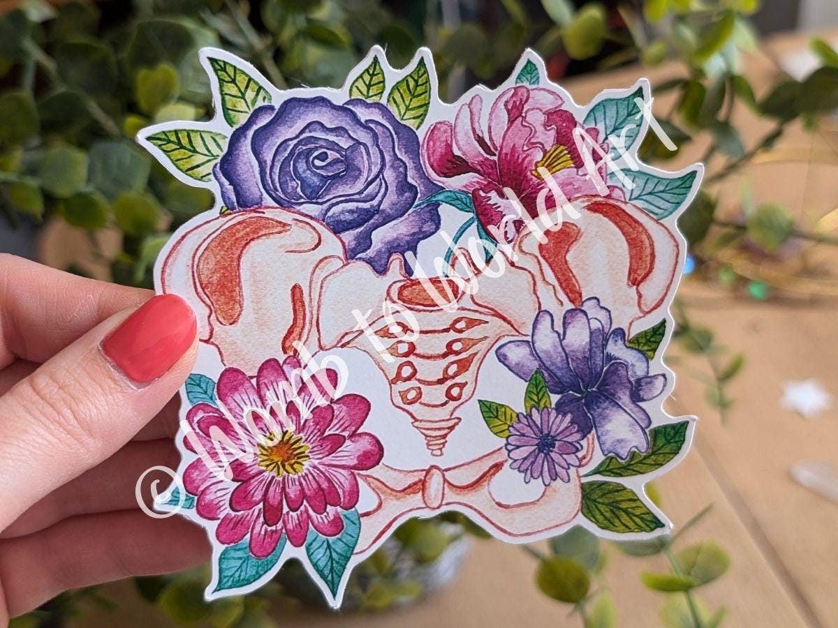 Pelvis Anatomy Art Sticker 10cm Vinyl | Chiropractor Gift | Midwife Thank You | Womb Healing | Women's Health | Pelvic Anatomy Doula Art