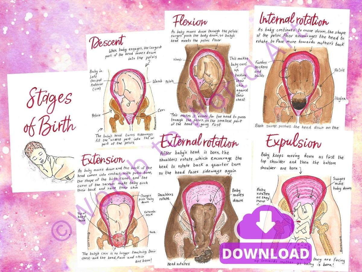 Cardinal Movements of Labour Illustrations: Doula Birth Teaching Tools (PDF Digital Download)