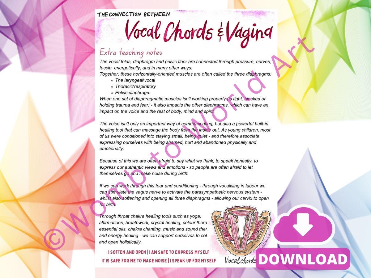 Vagina Vocal Cord Connection Diagrams: Antenatal Birth Education Handouts for Doulas and Hypnobirthing (PDF)