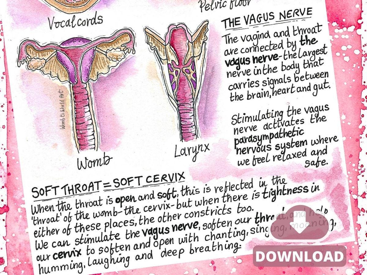 Vagina Vocal Cord Connection Diagrams: Antenatal Birth Education Handouts for Doulas and Hypnobirthing (PDF)