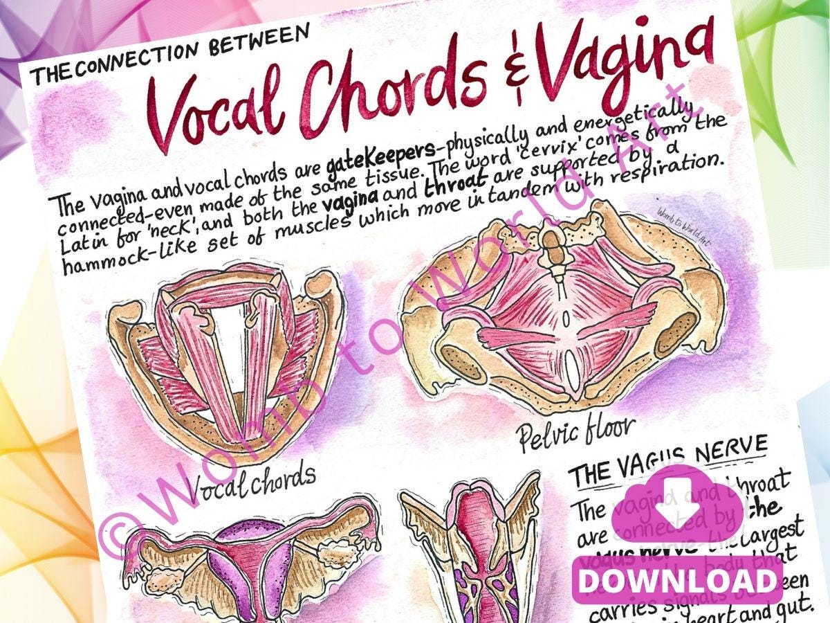 Vagina Vocal Cord Connection Diagrams: Antenatal Birth Education Handouts for Doulas and Hypnobirthing (PDF)