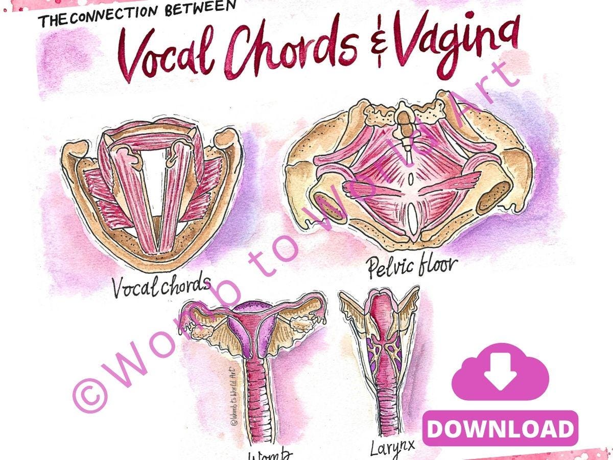 Vocal Chords & Vagina Connection Illustration: Antenatal Education Teaching Tools for Doulas (PDF Download)