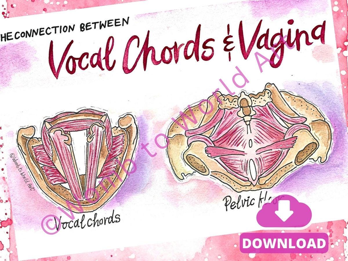 Vocal Chords & Vagina Connection Illustration: Antenatal Education Teaching Tools for Doulas (PDF Download)
