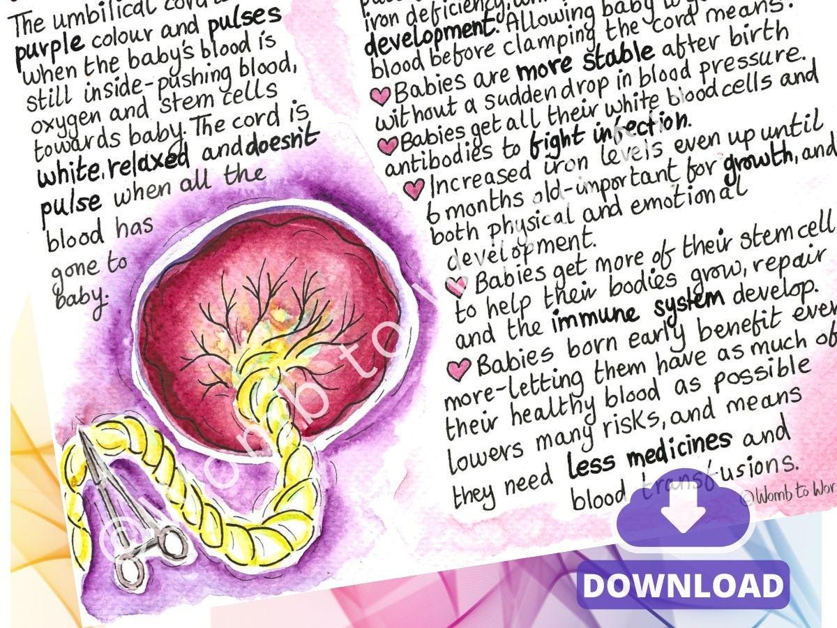 Delayed Cord Clamping Handout: Antenatal Birth Education for Doulas and Hypnobirthing (PDF Download)