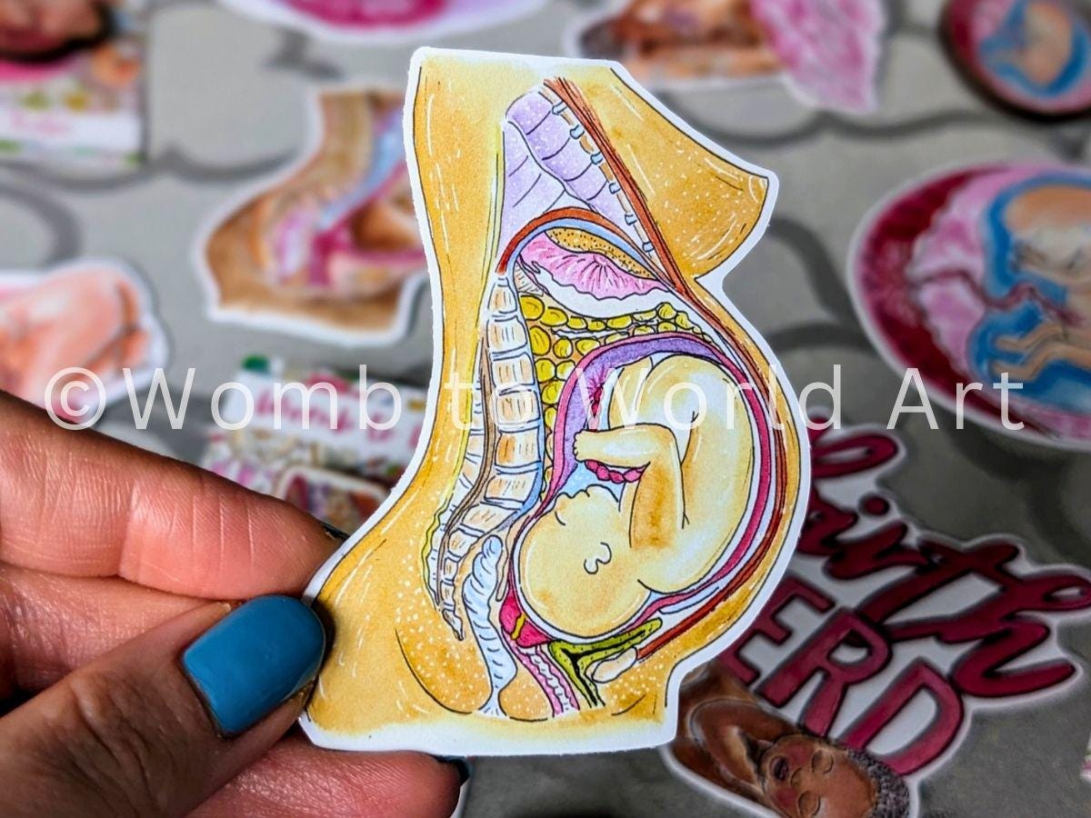 Student Midwife Sticker 8cm