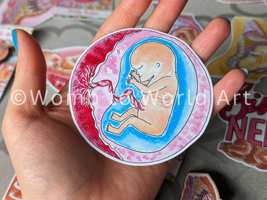 12 Week Fetus Sticker 8cm