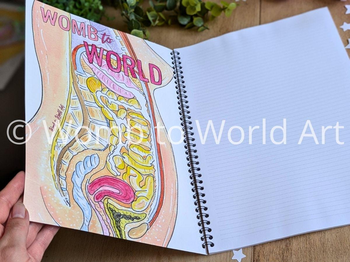 Pregnancy Anatomy Student Midwife Notebook
