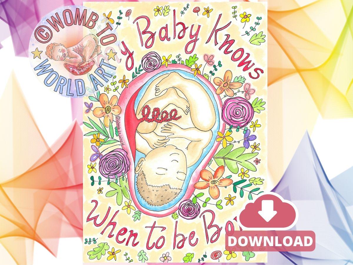 Postdates Pregnancy Digital Poster PDF Print | Birthworker Handouts | Doula Tools | Midwife Art | Hypnobirthing | Antenatal