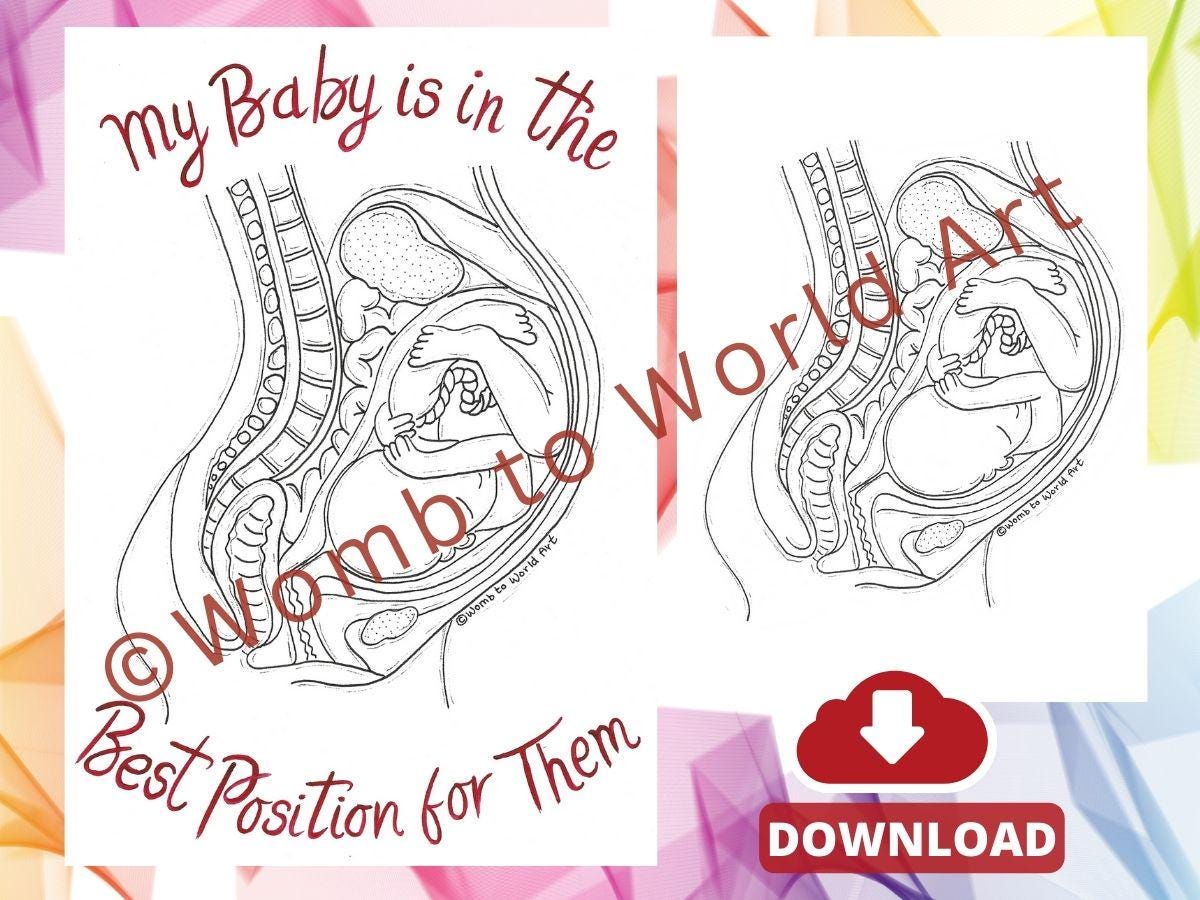 Ideal Position Baby in the Womb Affirmation LOA Download | Antenatal Education | Doula Tool | Midwife | Hypnobirthing