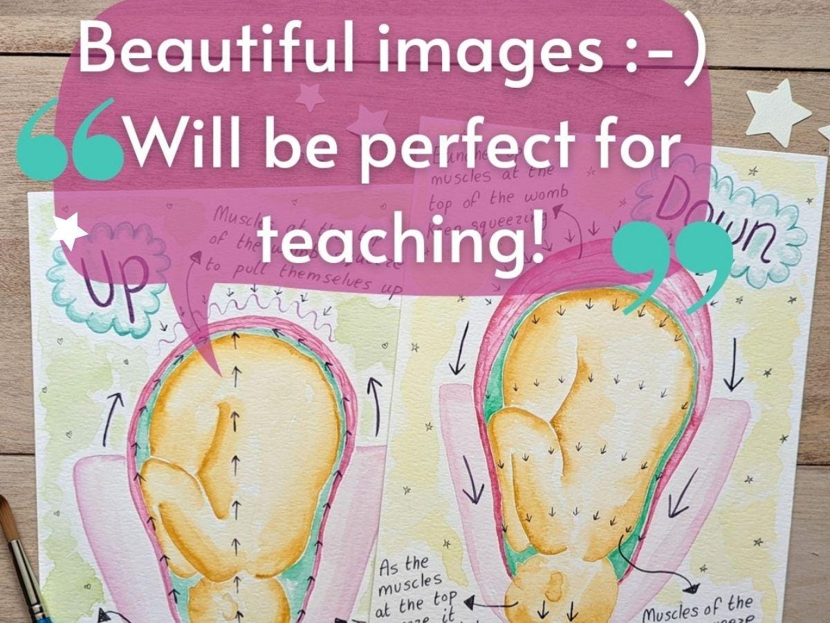 Hypnobirthing Labour Stages Diagrams, Watercolour Womb Illustrations for Doulas to Print (PDF Download)