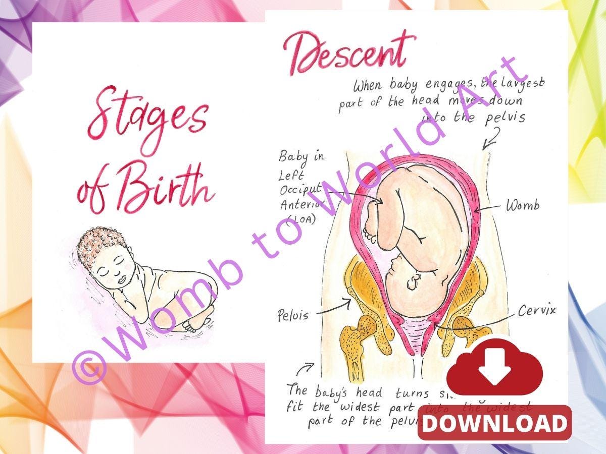 Cardinal Movements of Labour Illustrations: Doula Birth Teaching Tools (PDF Digital Download)