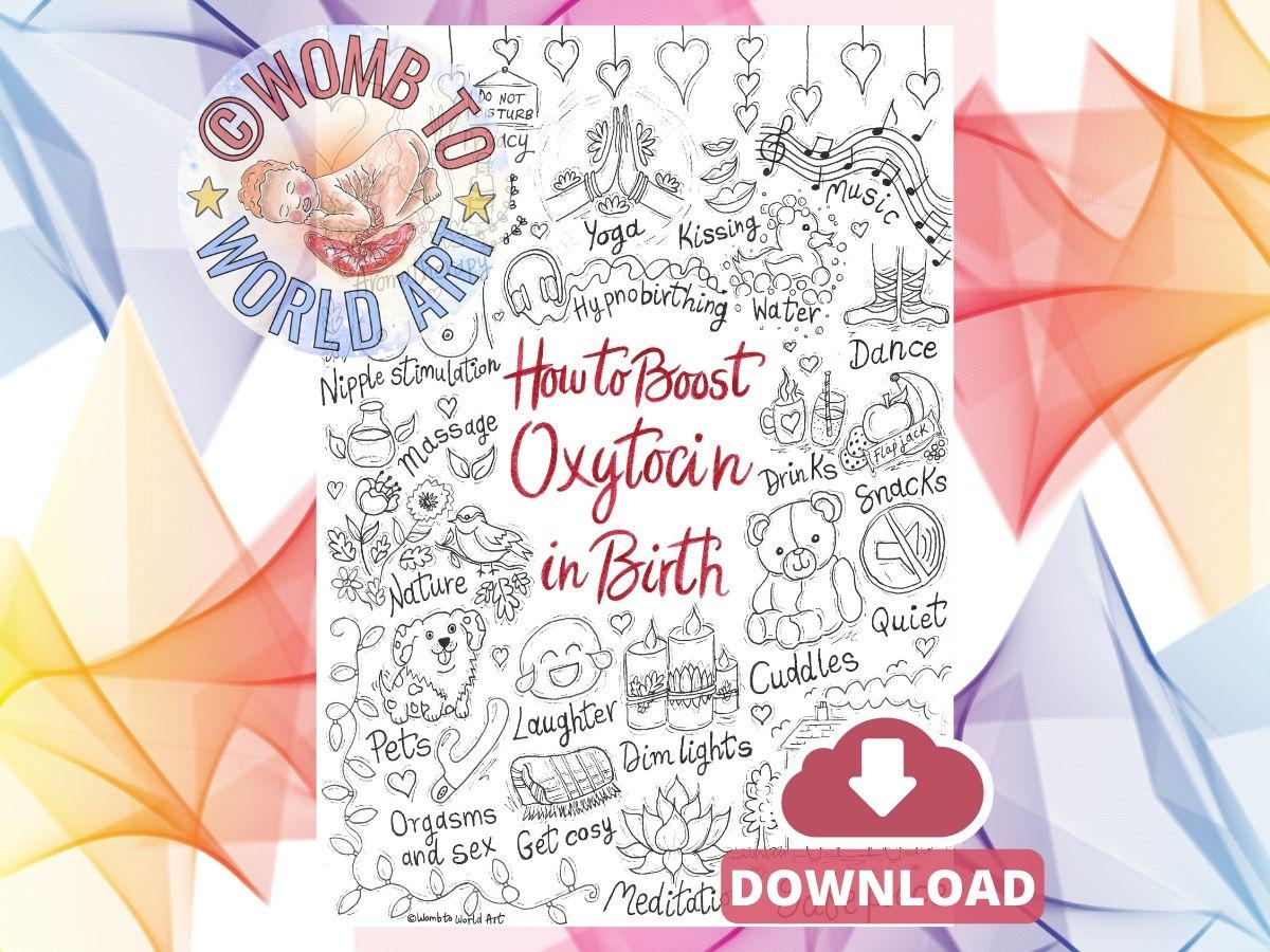 Oxytocin Birth Poster: Labour Hormones, Antenatal Education (A3 Printout)