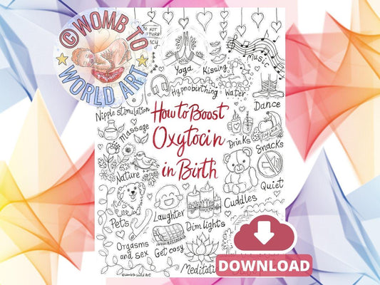Oxytocin Birth Poster: Labour Hormones, Antenatal Education (A3 Printout)
