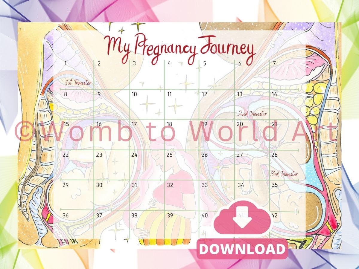 42 Weeks Pregnancy Countdown Calendar A3 PDF Download: Antenatal Education, Doula Tool (PDF Download)
