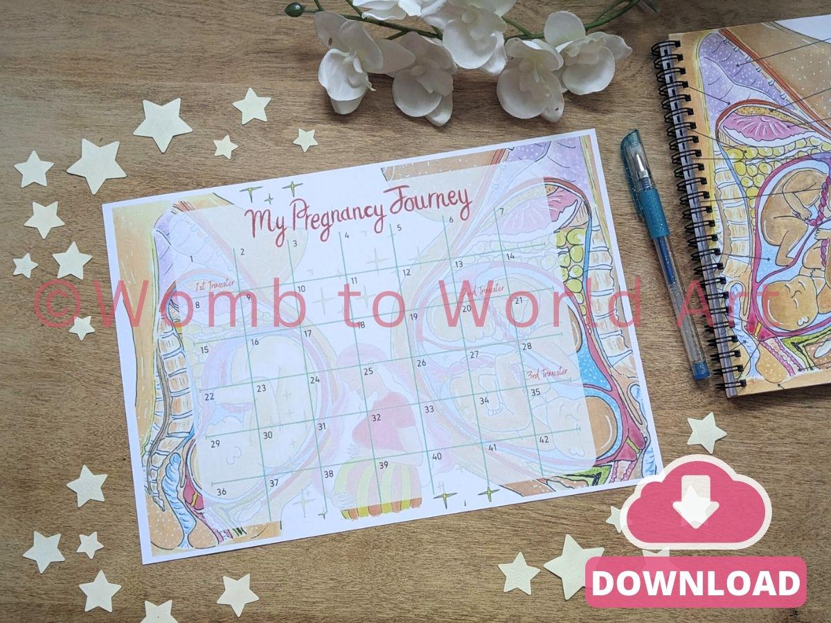 42 Weeks Pregnancy Countdown Calendar A3 PDF Download: Antenatal Education, Doula Tool (PDF Download)