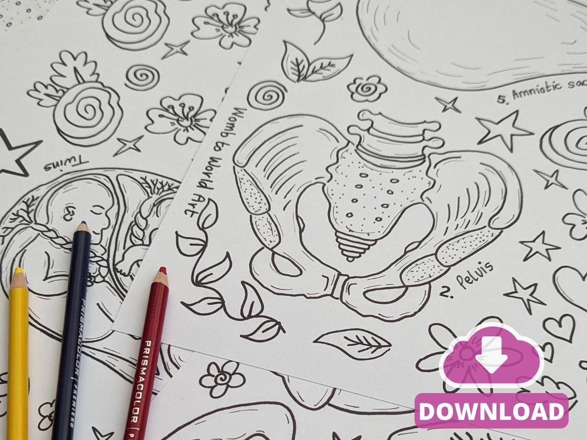 Pregnancy Anatomy Art Kit PDF Download