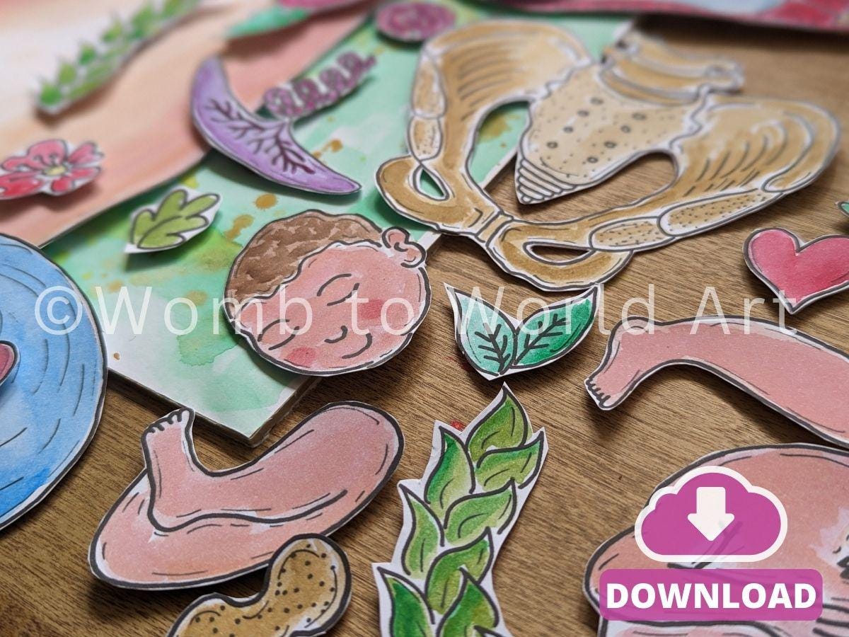 Pregnancy Anatomy Art Kit: DIY Womb Baby Paper Craft (Digital Download)