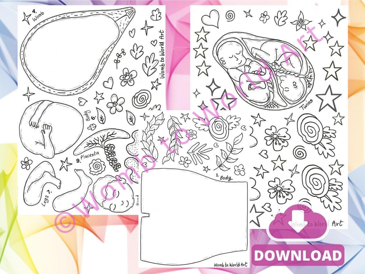 Pregnancy Anatomy Art Kit: DIY Womb Baby Paper Craft (Digital Download)