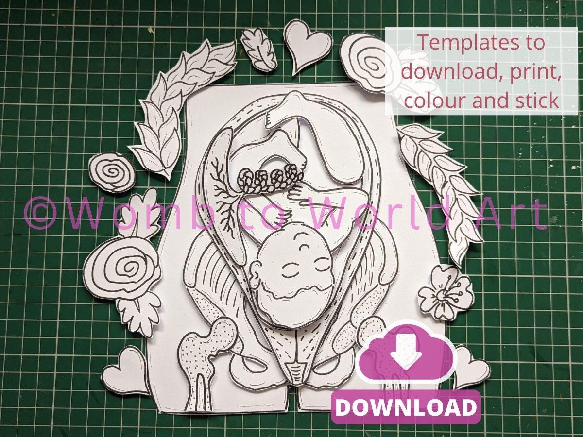 Pregnancy Anatomy Art Kit: DIY Womb Baby Paper Craft (Digital Download)