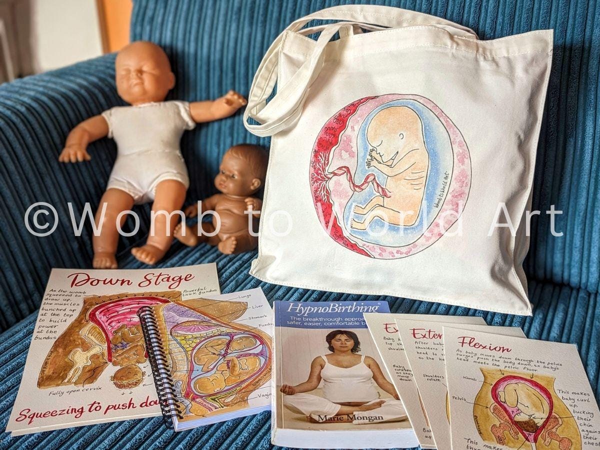 Pregnancy Womb Baby Bag