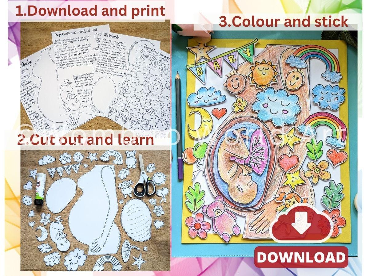 Children's Antenatal Education Activity PDF Download Siblings Kit | Pregnancy Anatomy Download | Doula Printouts