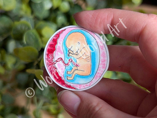 Pregnancy Magnet | Baby in the Womb Art | Gifts for Mothers and Midwife | Midwife Presents | Birth Worker | Fetus Art