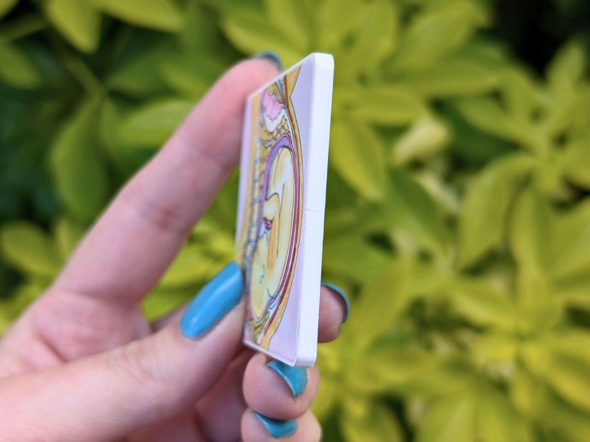 Pregnancy Anatomy Magnet