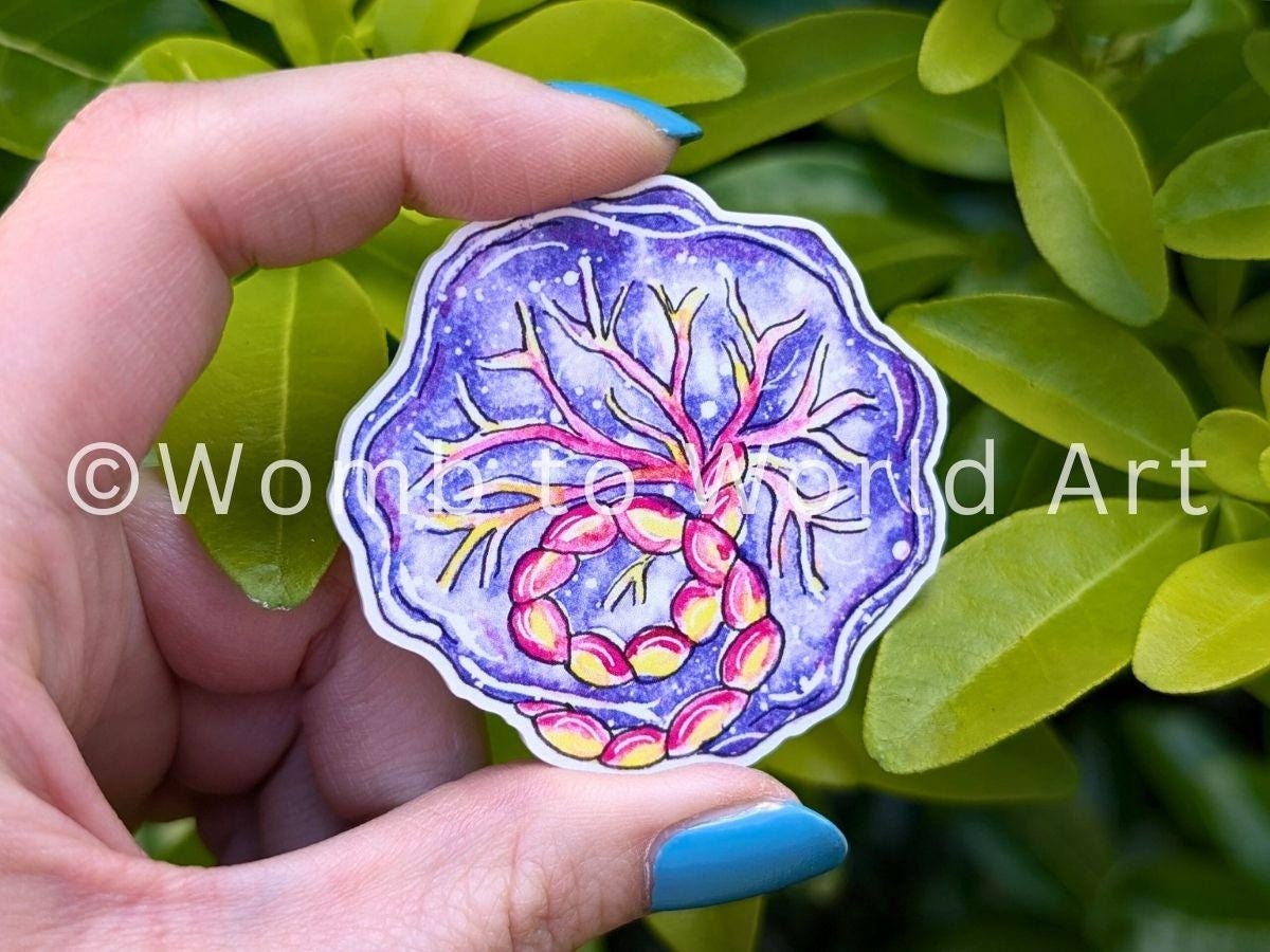 Placenta art midwife magnet