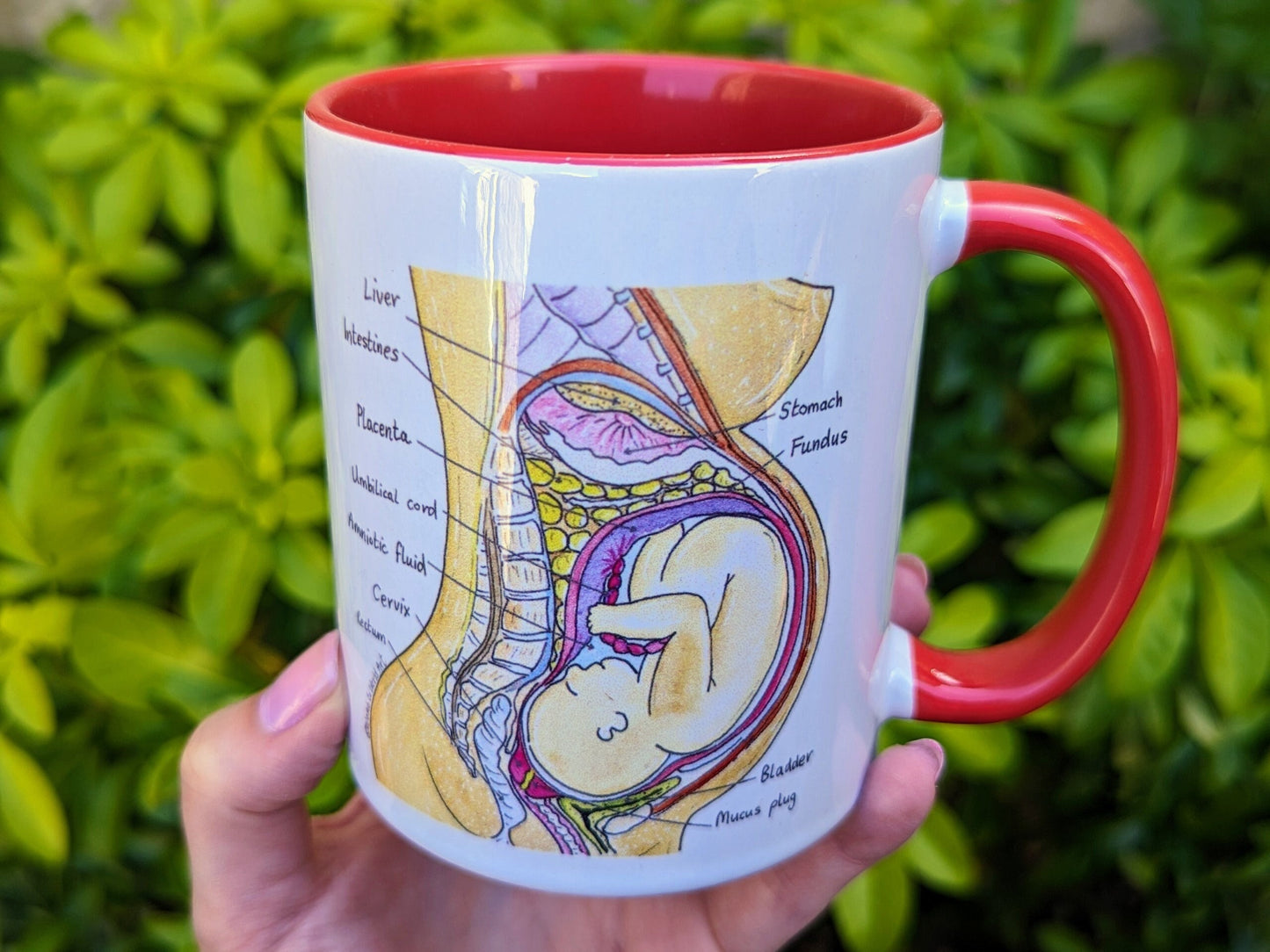 Student midwife mug
