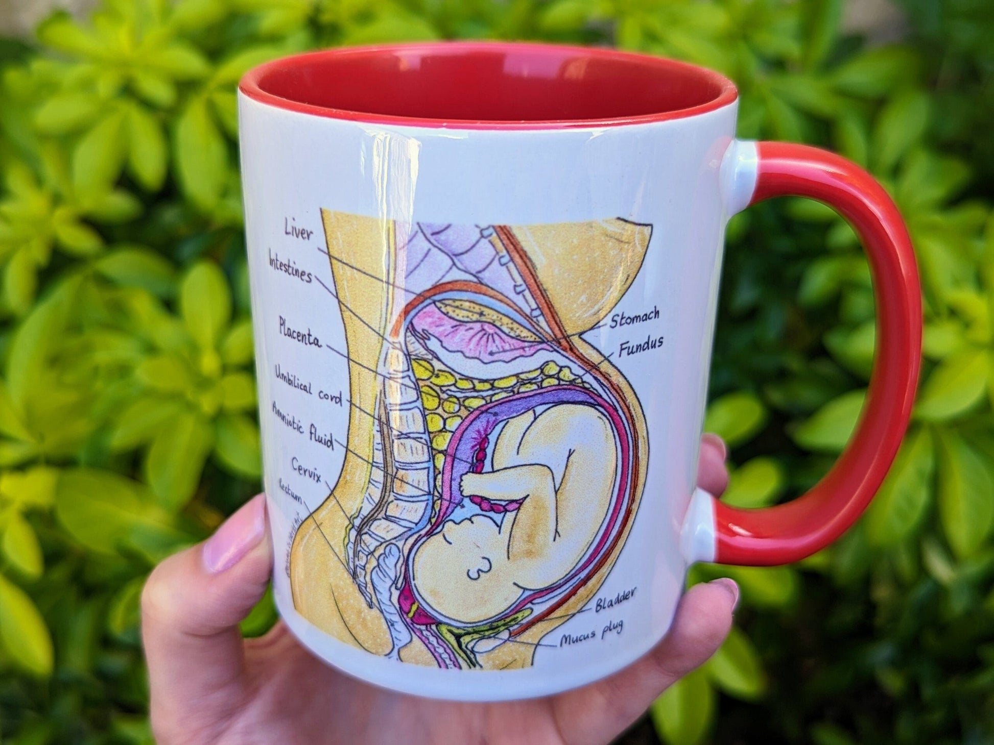 Student midwife mug