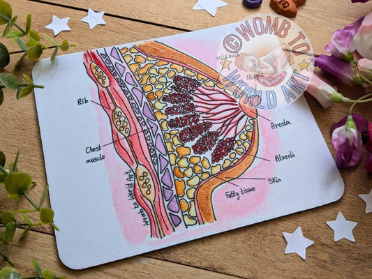 Lactation Consultant Mouse Mat | Breast Anatomy Desk Pad | IBCLC Day Gift Ideas | Breastfeeding Art | Student Midwife | Postnatal Dou