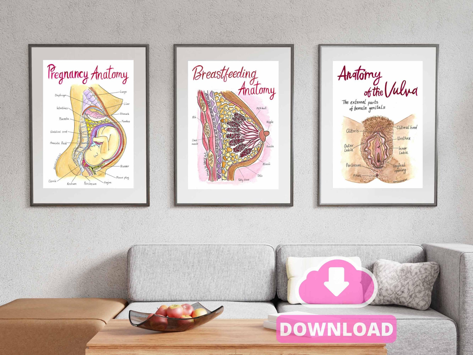 Pregnancy Anatomy Art Prints: OBGYN Office Decor Wall Art for Doulas Teaching Tools (A3 PDF Download)